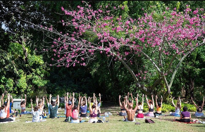 USF Botanical Gardens, United States